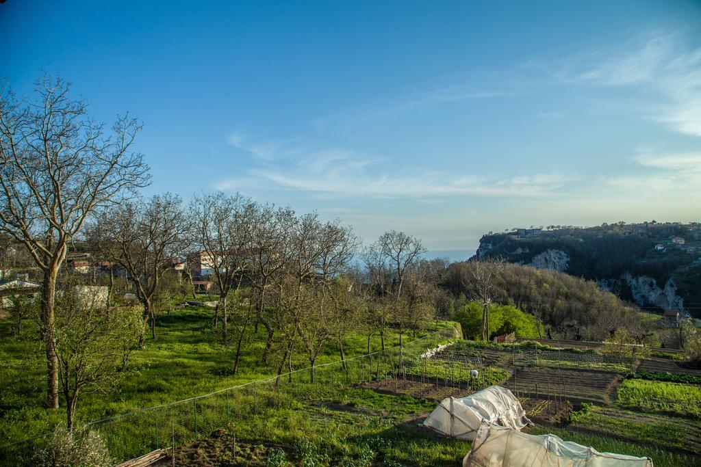 Da Zia Adele Hotel Agerola Cameră foto